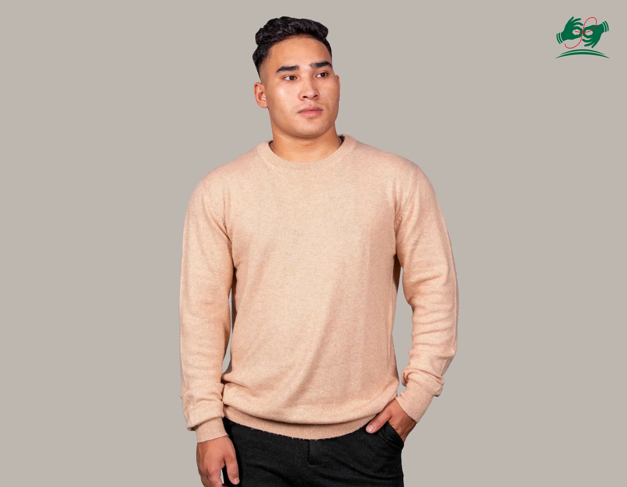 Crew Neck cashmere sweater in Sand